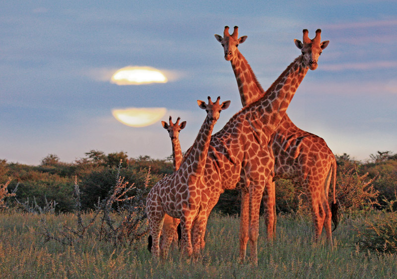 Namibia