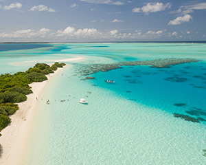 The Bahamas