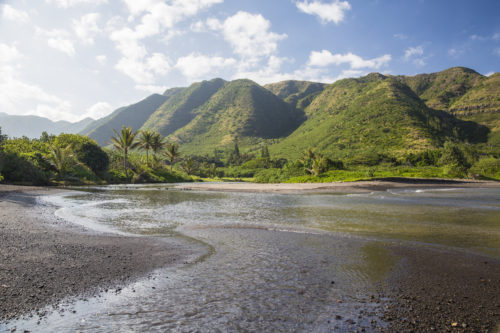 Halawa Valley UnCruise Adventures