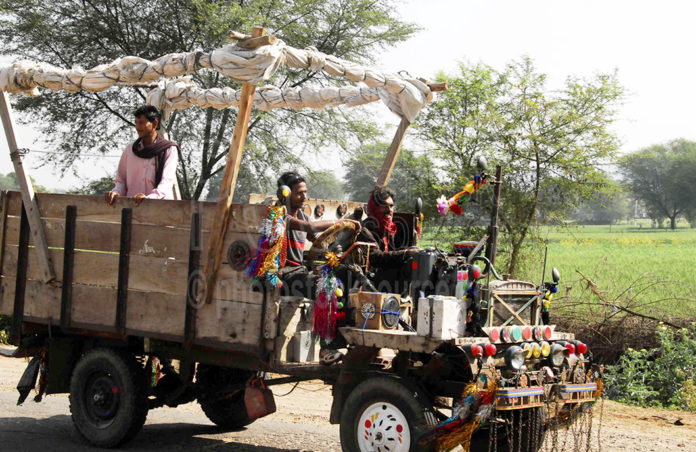 Big Five India Big Five Tours & Expeditions India