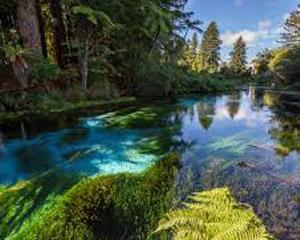 New Zealand